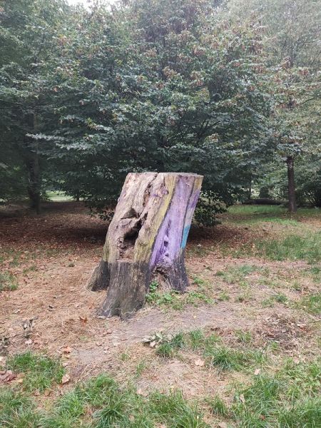 Tronc d'arbre